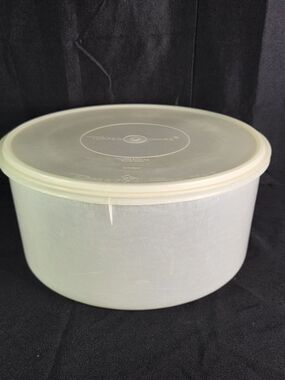 Vintage Tupperware Clear Round Carry All 256-4 And 224-9 Lid